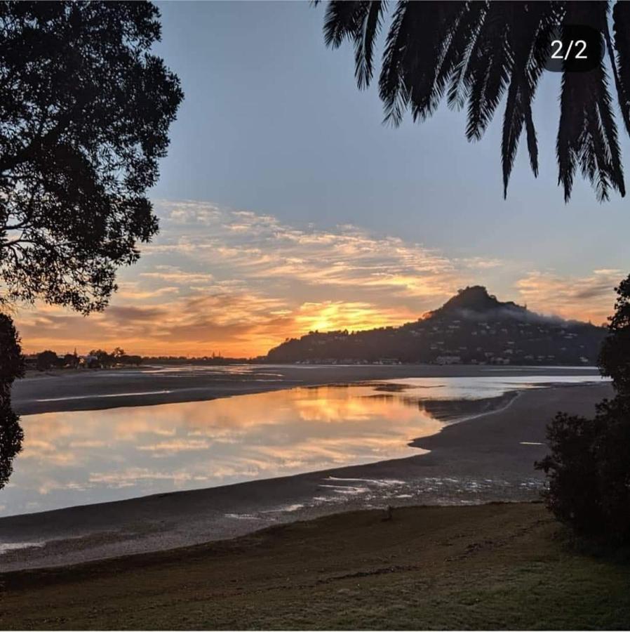 Paku Tairua