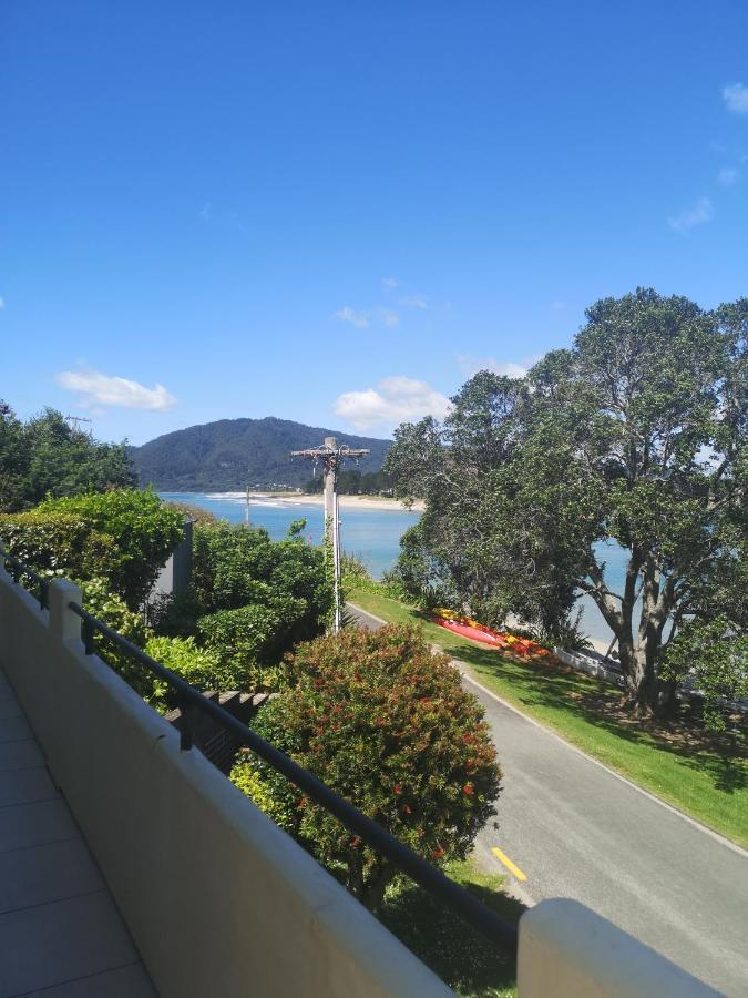 Paku Tairua