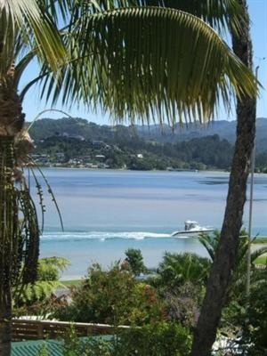 Paku 4* Tairua