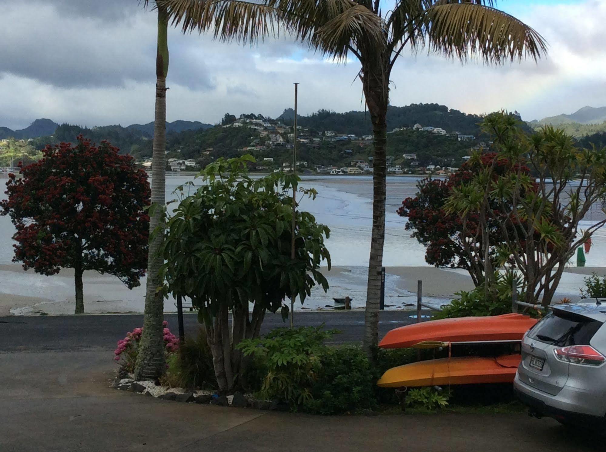 Paku Tairua